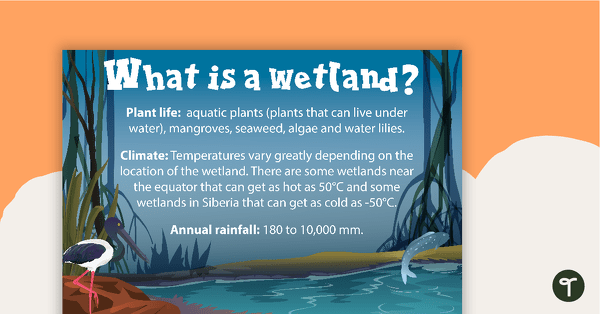 去What is a Wetland? Poster teaching resource