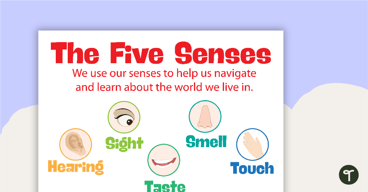 The 5 Senses Posters teaching resource