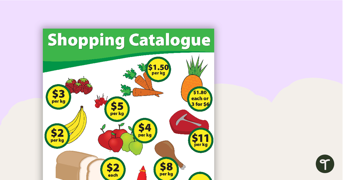 Shopping Catalogue with Worksheet teaching resource