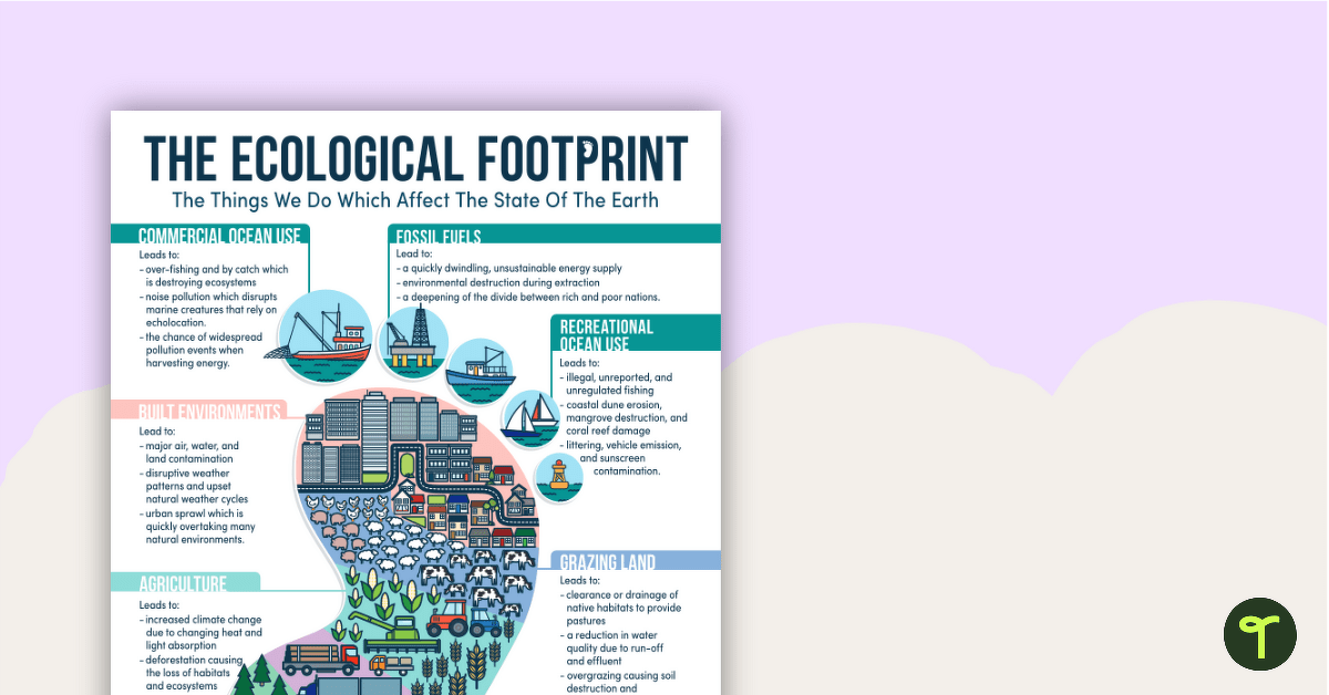 My Ecological Footprint - Reference Sheet teaching resource