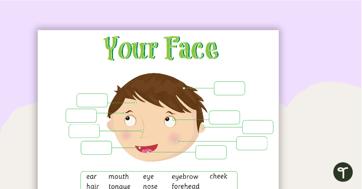 Face Labeling Activity - Colour teaching resource