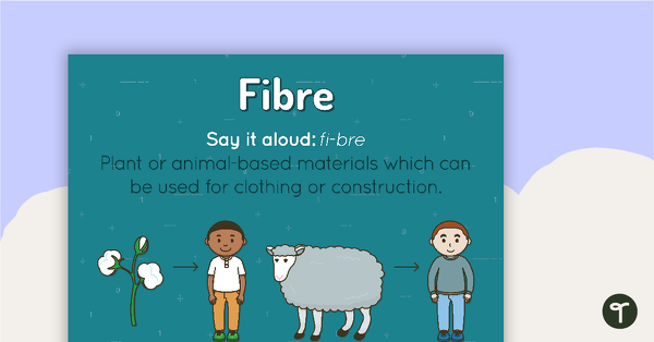 Preview image for Fibre Poster - teaching resource