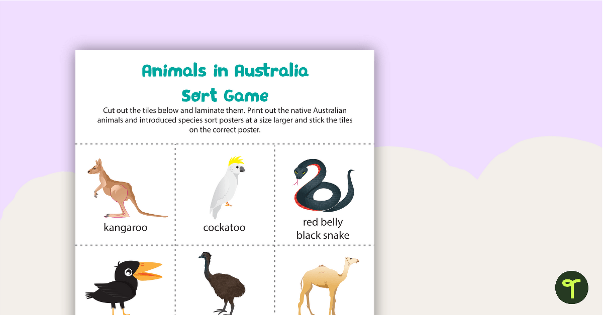 Animals In Australia Sort Game Teach