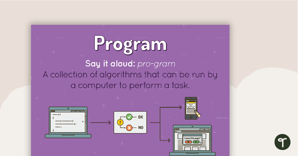 Preview image for Program Poster - teaching resource