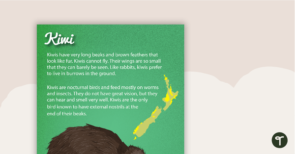 Go to Kiwi - New Zealand Animal Poster teaching resource