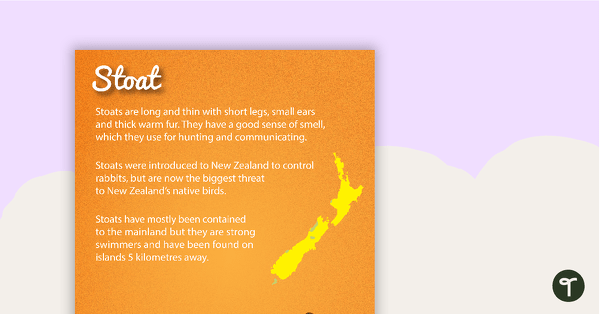 Stoat - New Zealand Animal Poster teaching resource