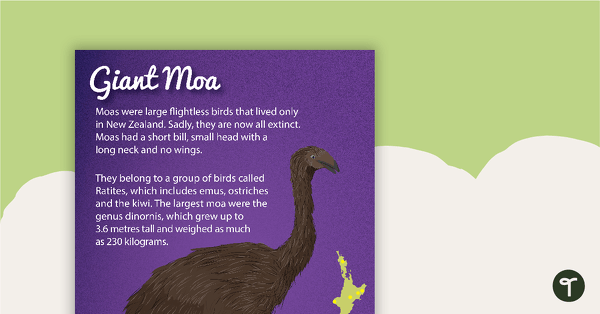 Giant Moa - New Zealand Animal Poster teaching resource
