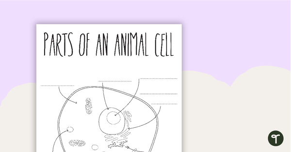 Parts of an Animal Cell - Blank teaching resource