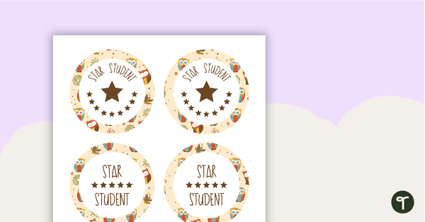 Owls Pattern - Star Student Badges teaching resource