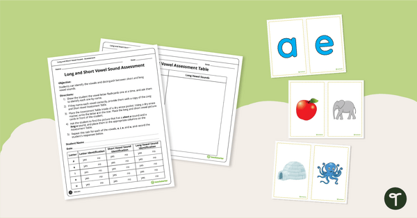 Phonics Assessment - Long and Short Vowel Sound teaching resource