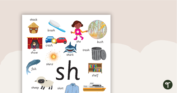 Preview image for Sh Digraph Poster - teaching resource