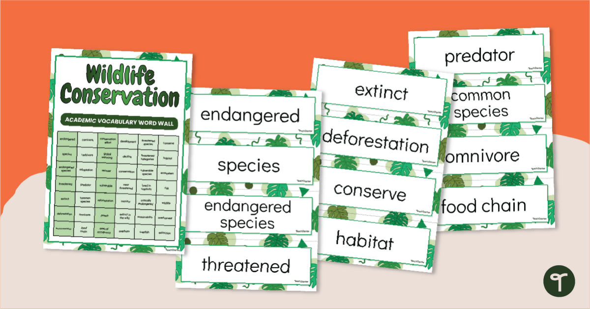 Wildlife Conservation Vocabulary Words teaching resource