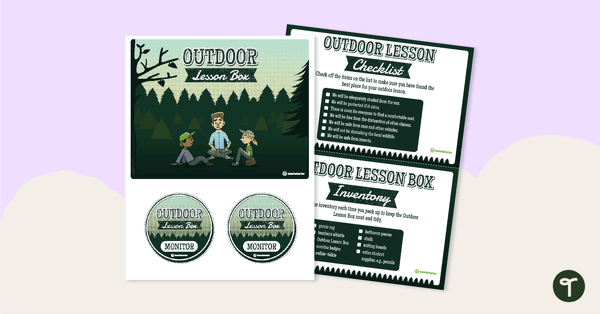 Preview image for Outdoor Lesson Box Cut and Assemble Kit - teaching resource