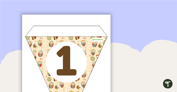Owls Pattern - Letters and Number Pennant Banner teaching resource