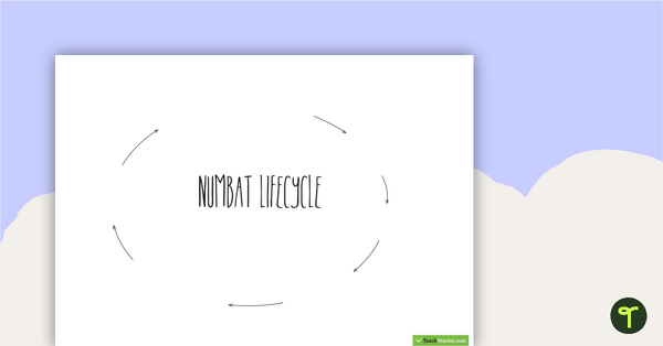 Preview image for Numbat Life Cycle Sort - teaching resource
