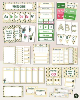 Calming Cactus Classroom Decor Theme Bundle teaching resource