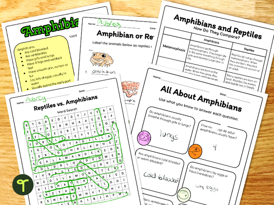 Amphibians vs Reptiles Worksheet Pack teaching resource