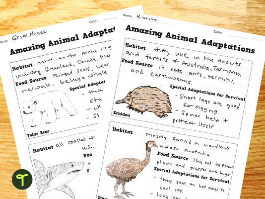 Australian Animals — Adaptations Worksheets teaching resource