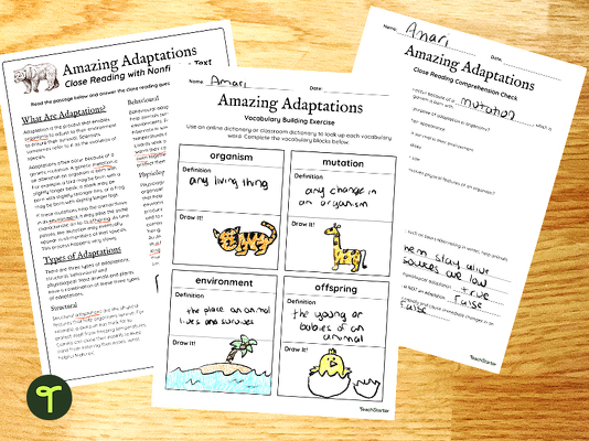 Plant and Animal Adaptations - Comprehension Worksheets teaching resource