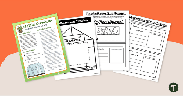 Growing Bean Plant Seeds — Greenhouse Template teaching resource