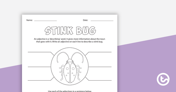 Insect Adjectives – Worksheet teaching resource