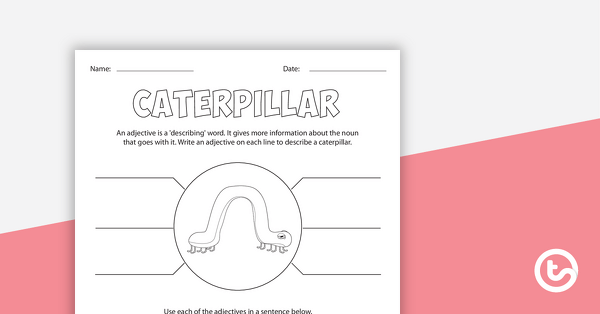Insect Adjectives – Worksheet teaching resource
