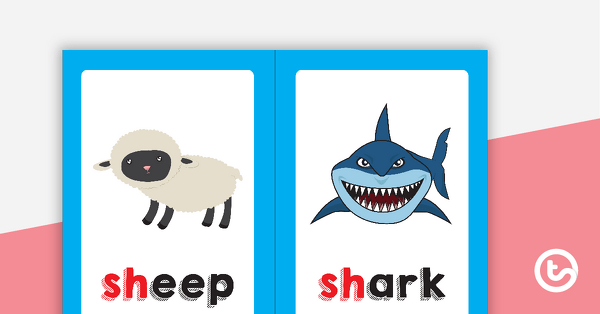 Sh Digraph Words With Images teaching resource