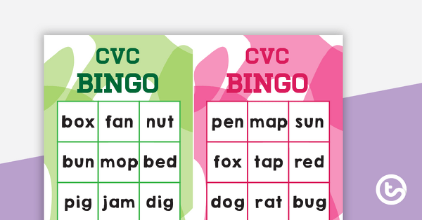 CVC Words Bingo Game teaching resource