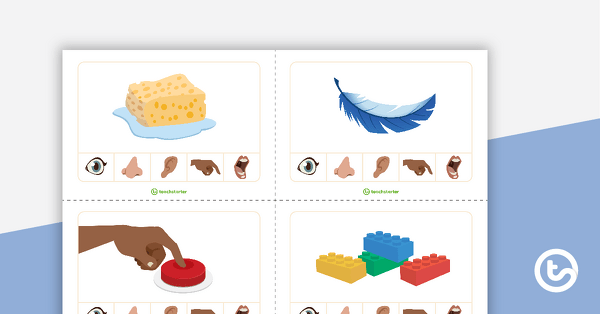 Sorting Senses Card Game teaching resource