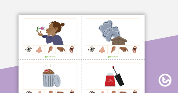 Sorting Senses Card Game teaching resource