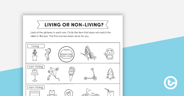 Living or Non-Living? Worksheet teaching resource